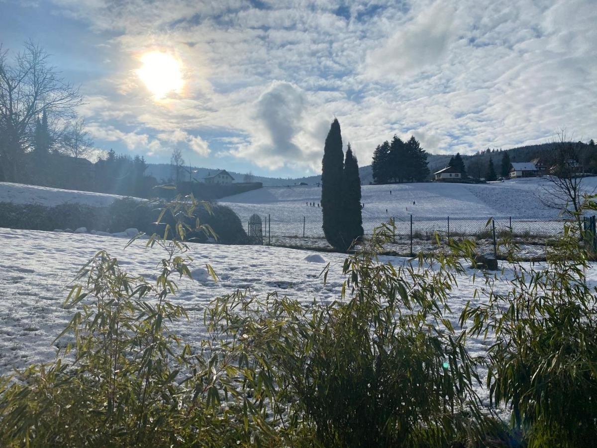 Gite Au Cours D'Eau Le Hohwald Exterior foto